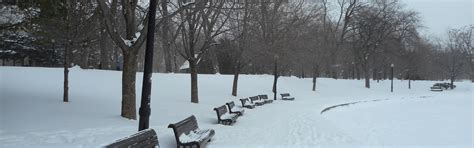 Download wallpaper winter, snow, trees, traces, frost, lights, Park ...
