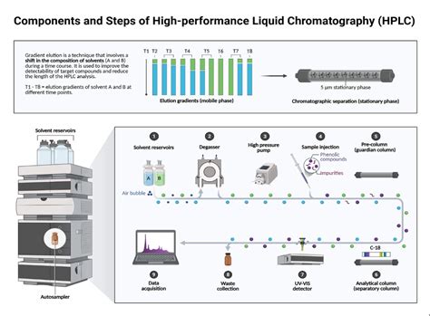 High Performance Liquid Chromatography (HPLC)