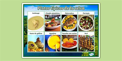 Image result for Selenium Automation Testing Examples