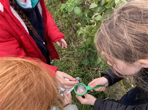 Childrens Nature & Forest School Event - for 5 to 8 year olds ...