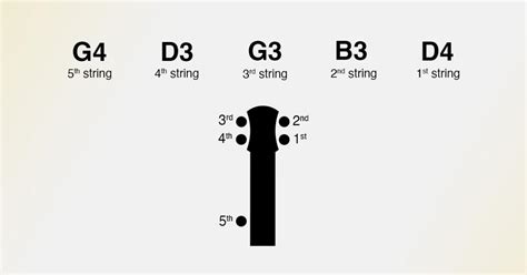 Image result for Banjo Tuning