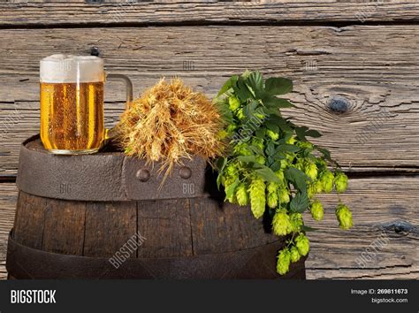 Beer Hops En Ingles at Stephanie Fleming blog