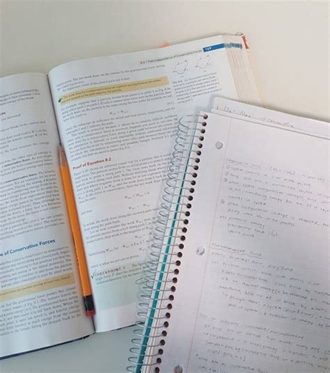 Does Studying Burn Enough Calories To Lose Weight?