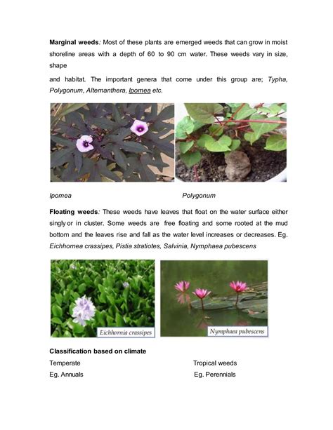 Classification of weeds | DOCX