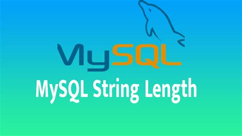 Find Column Length in MySQL 的图像结果