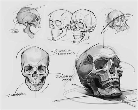 Image result for Example of Learning Program in School