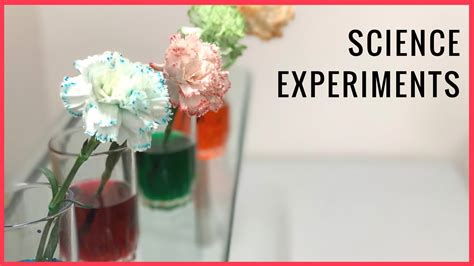 Science Experiments Using Sensory 的图像结果