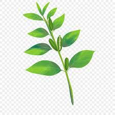 e-Statistics | Govt. of Bihar