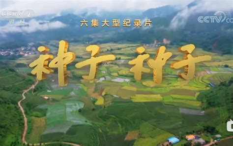 《不安的种子》日本预告片_电影_高清1080P在线观看平台_腾讯视频