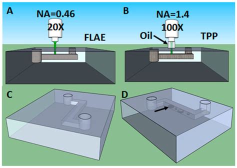 Ultrafast Laser Fabrication of Functional Biochips: New Avenues for ...