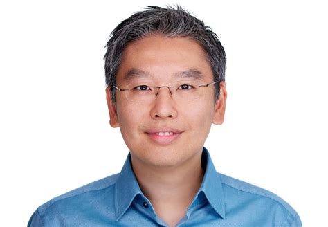 Image result for Shell Pattern Inside