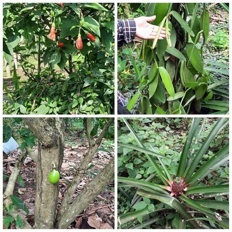 BEEsita Sa Bukid - Guided Bee Farm Tour 2021 - Luzon - Viator