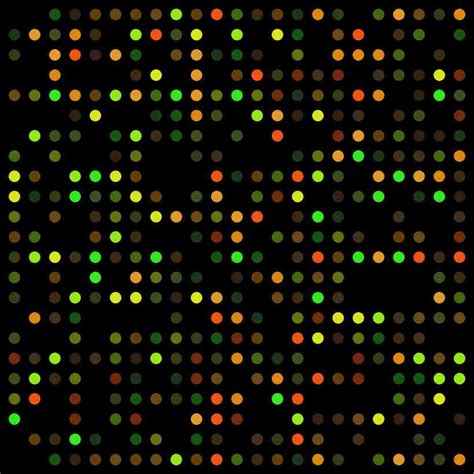 DNA Microarray Modle 的图像结果