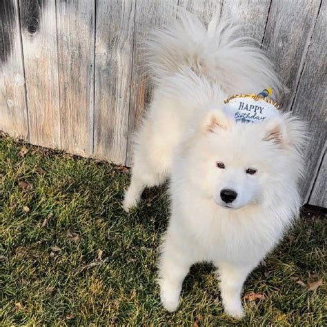 It’s been awhile since I’ve been on here, but today is Giovanni’s first ...