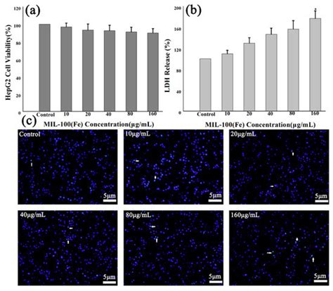 In Vitro Toxicity Study of a Porous Iron(III) Metal‒Organic Framework