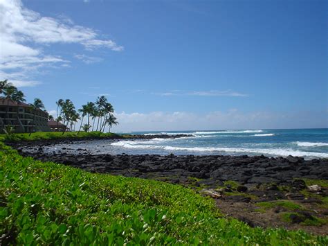 Poipu Beach landscape in Poipu, Hawaii image - Free stock photo ...