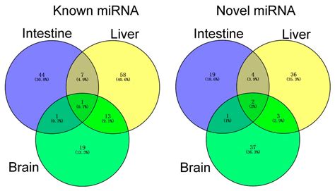 Identification of Differentially Expressed Micrornas Associate with ...
