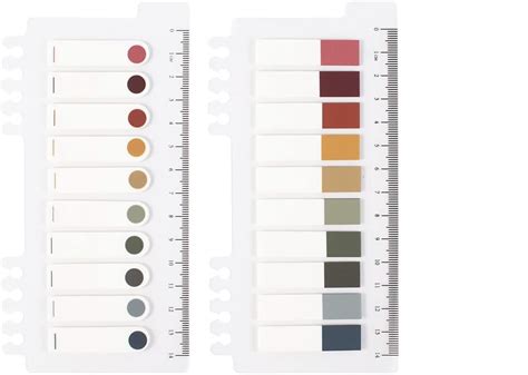 Levin Morandi Sticky Tabs, 400 Pcs Sticky Tabs for Notebooks Sticky ...