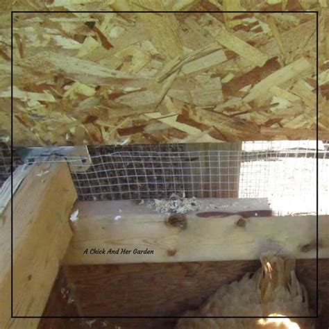 Image result for Brooder House Drawing