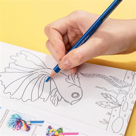 Deli Color Emotion 12 Watercolor Pencils - SCOOBOO - Deli