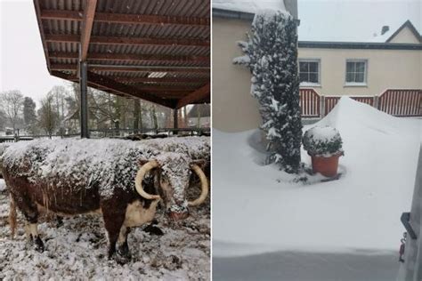 So wirken Schnee und Frost auf dem Acker | agrarheute.com