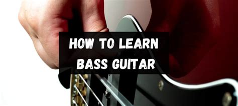Bass Tutorial for Beginners 的图像结果