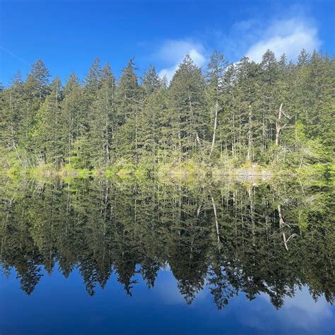 Anacortes Community Forest Lands - Whistle Lake — Washington Trails ...