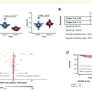Image result for Extreme Gradient Boosting Algorithm
