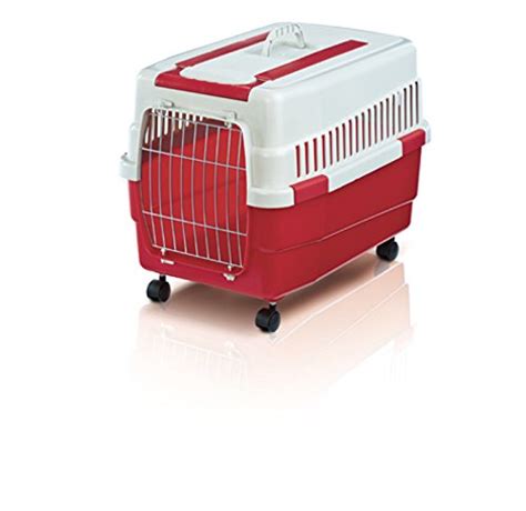 IMAC Kim 60 : Amazon.in: Pet Supplies