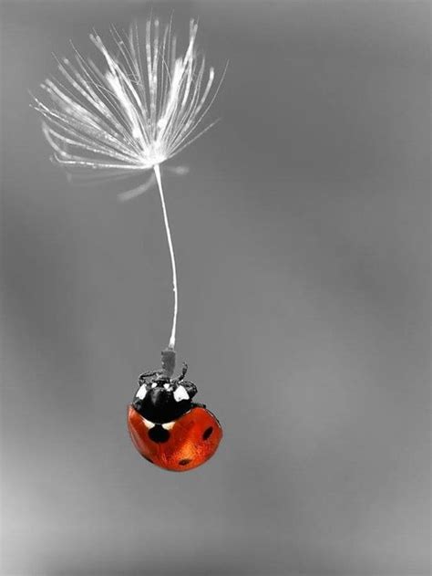 Image result for Prodigy Math Game Mythical Epics