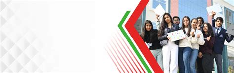 Bachelor of Library and Information Science (B.LIB)