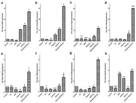 Induced Short-Term Hearing Loss due to Stimulation of Age-Related ...