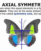 axial symmetry 的图像结果