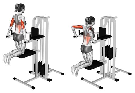 Image result for DIP