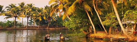 Vedic Flavors Whole Green Cardamom | Elaichi | Badi Elaichi | Elakkai ...