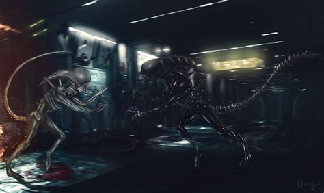 Xenomorph Vs Zerg 90d9