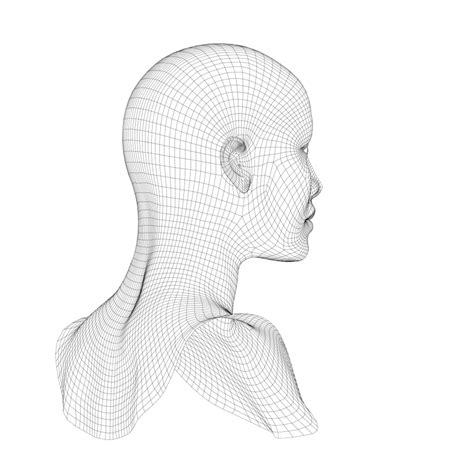 Image result for Face Mesh Texture