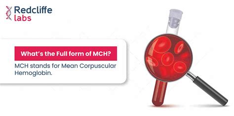 Whats the full form of MCH