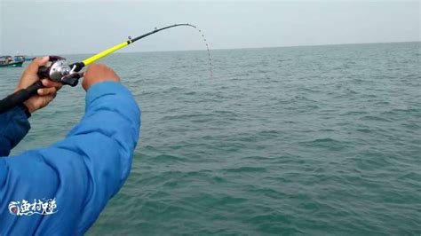 广东湛江海钓第2天，出到海南海域钓鱼，看看有什么鱼？,生活,户外休闲,好看视频
