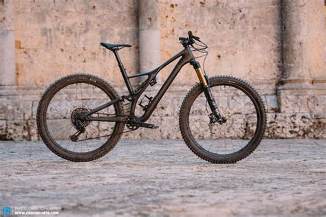 Specialized mtb on sale frame price