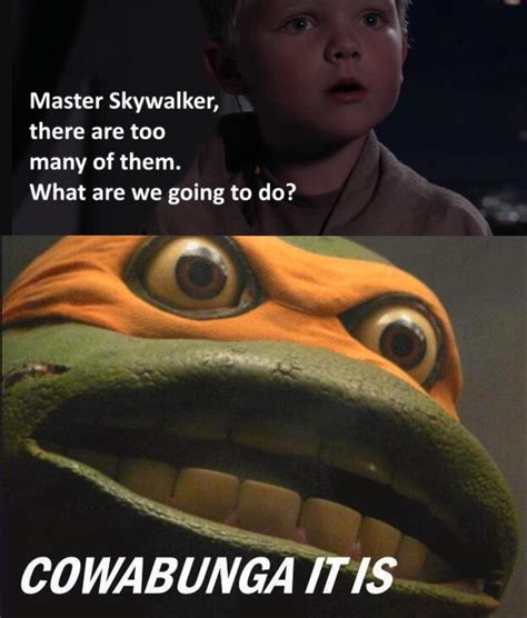 Cowabunga it is : r/PrequelMemes