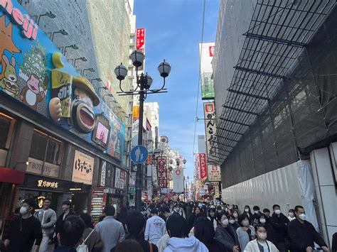 Mirai International Education