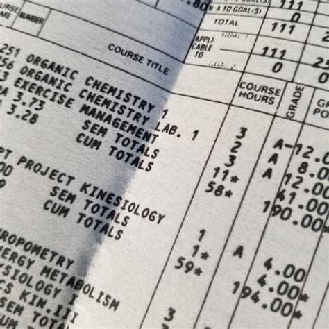 Image result for Student Gradelink Straight FS