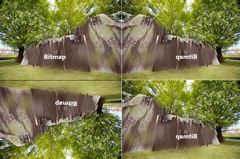 Image result for What Is Bitmap in Visual Studio Form