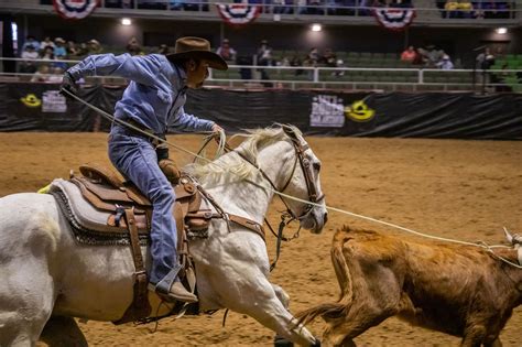 Image result for Practice Team Roping