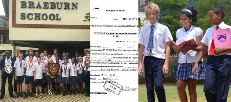 Image result for Student Pass OR Fail Program in Python