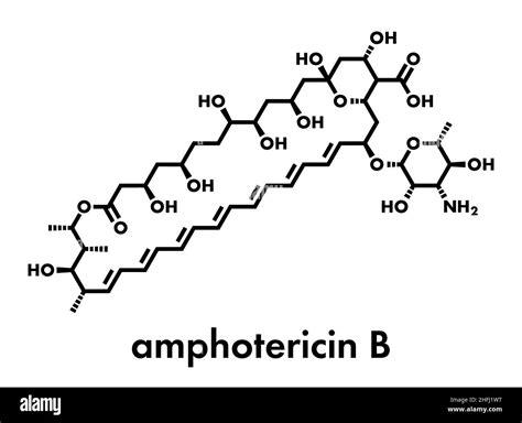 Amphotericin B antifungal drug molecule. Skeletal formula Stock Vector Image & Art - Alamy