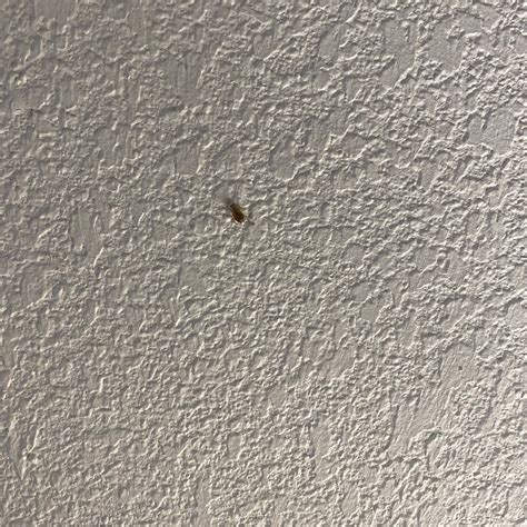 BEST WESTERN HAZLET INN - Prices & Hotel Reviews (NJ)