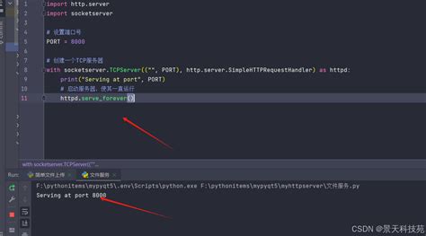 HTTP File Server in Python 的图像结果