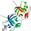 Mushroom Lectins: Specificity, Structure and Bioactivity Relevant to ...
